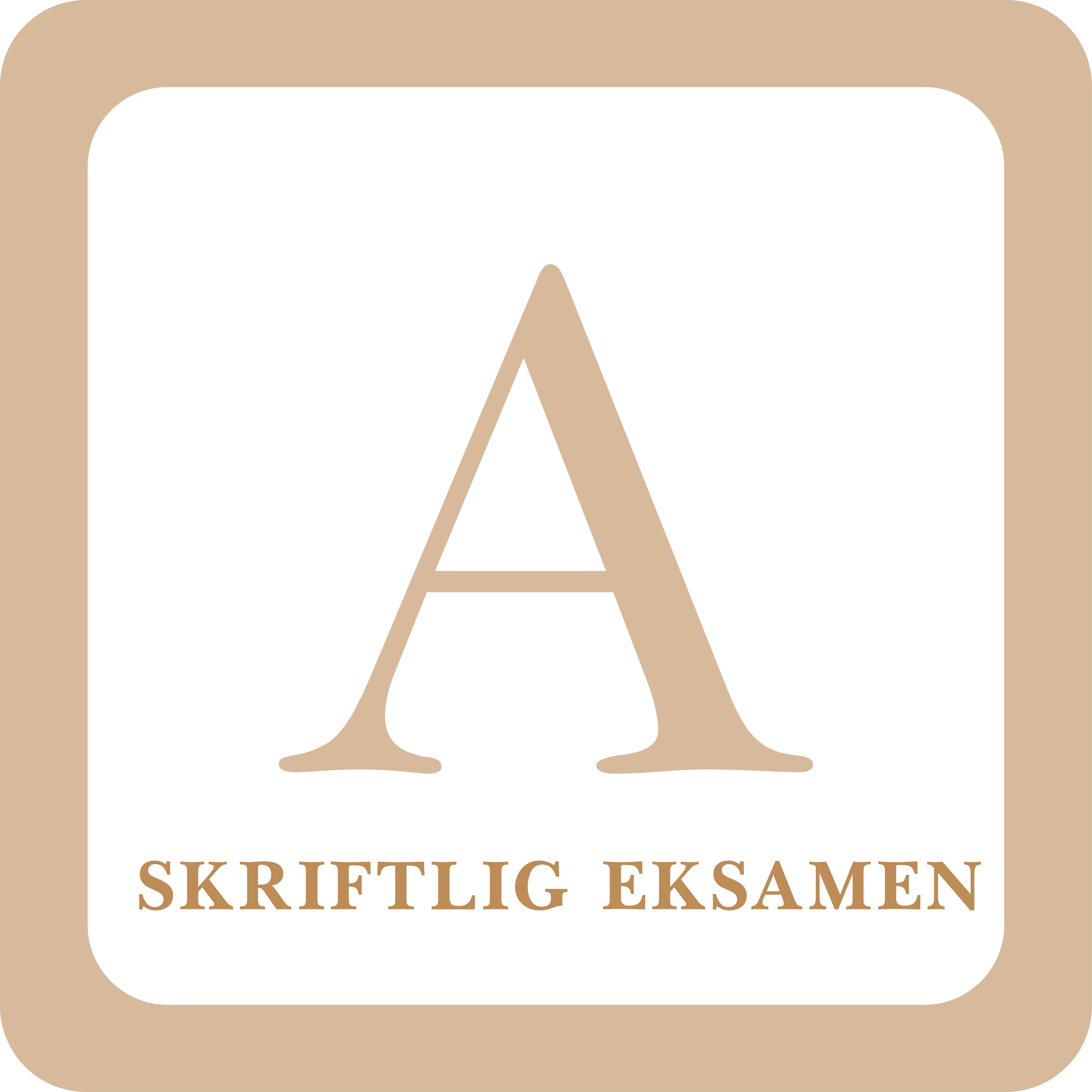 Read more about the article A skriftlig eksamen