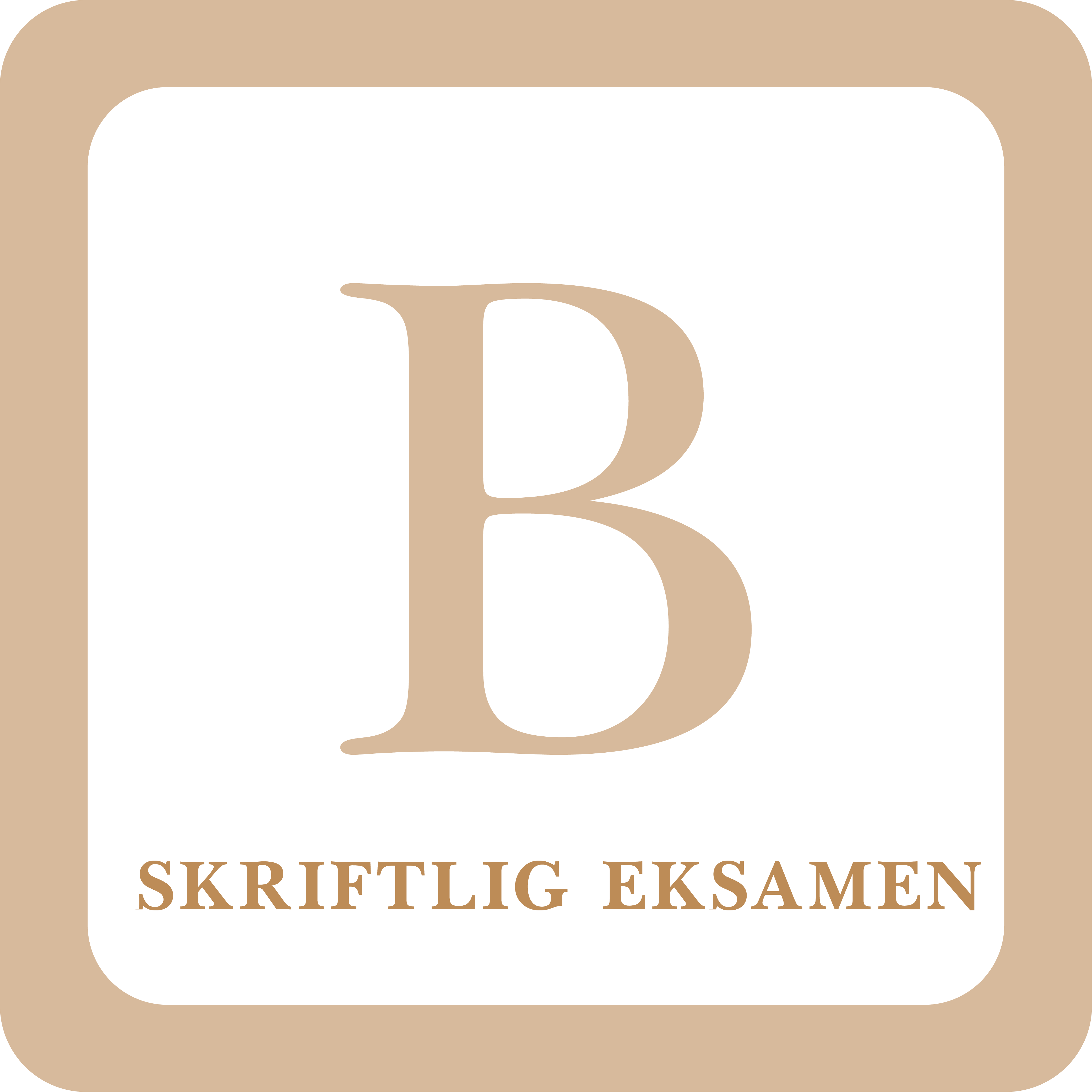 Read more about the article B skriftlig eksamen