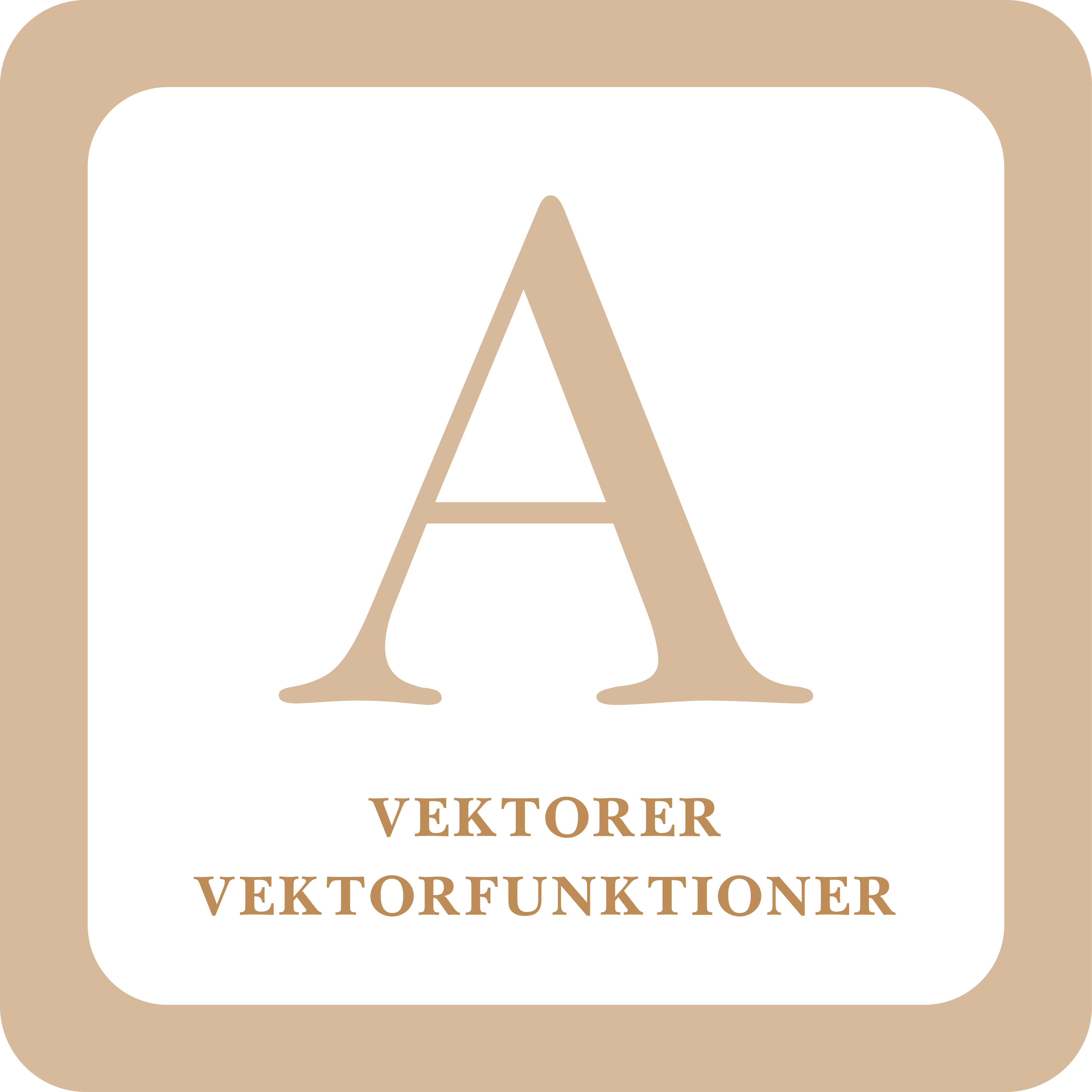 Read more about the article Vektorer Vektorfunktioner