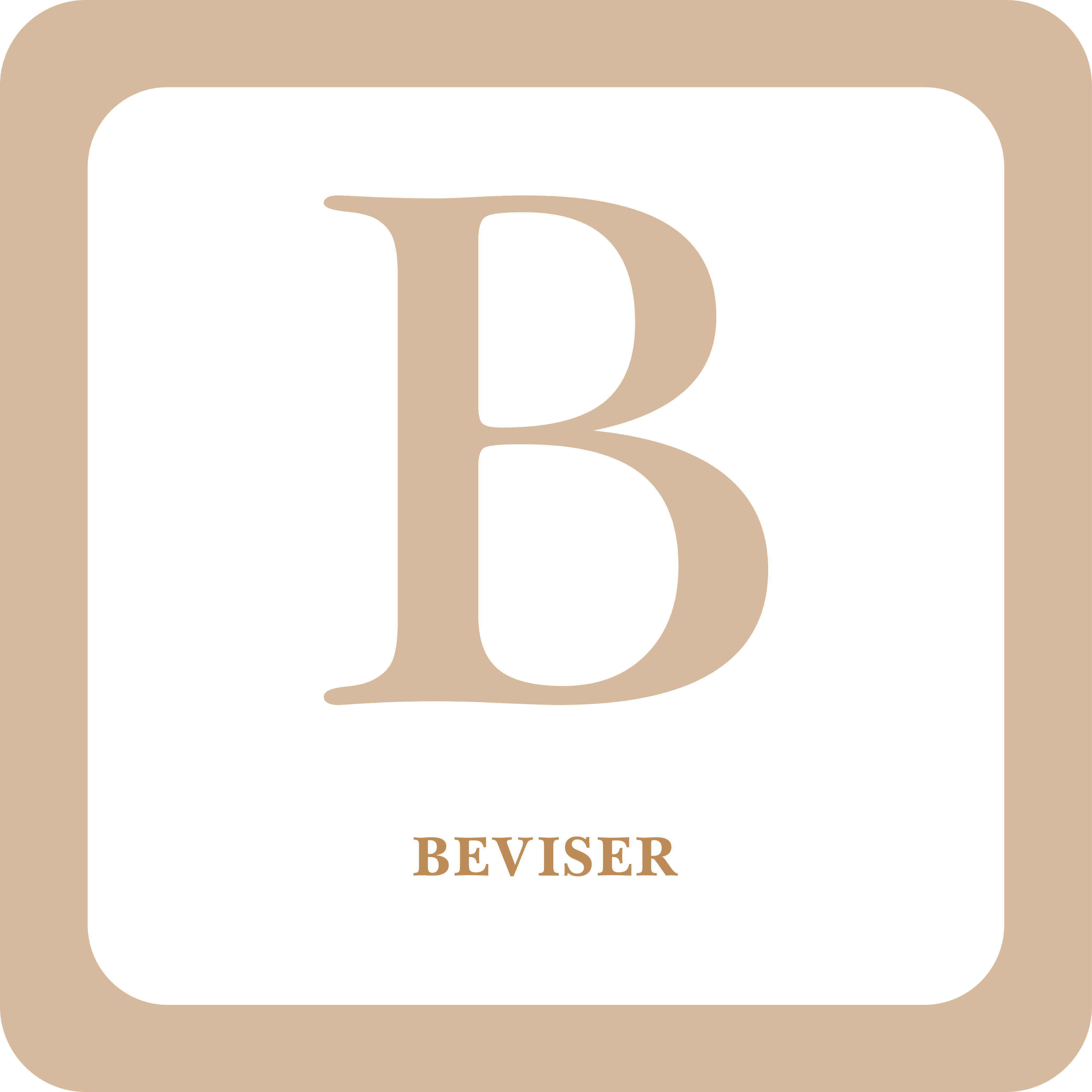 Read more about the article B Beviser