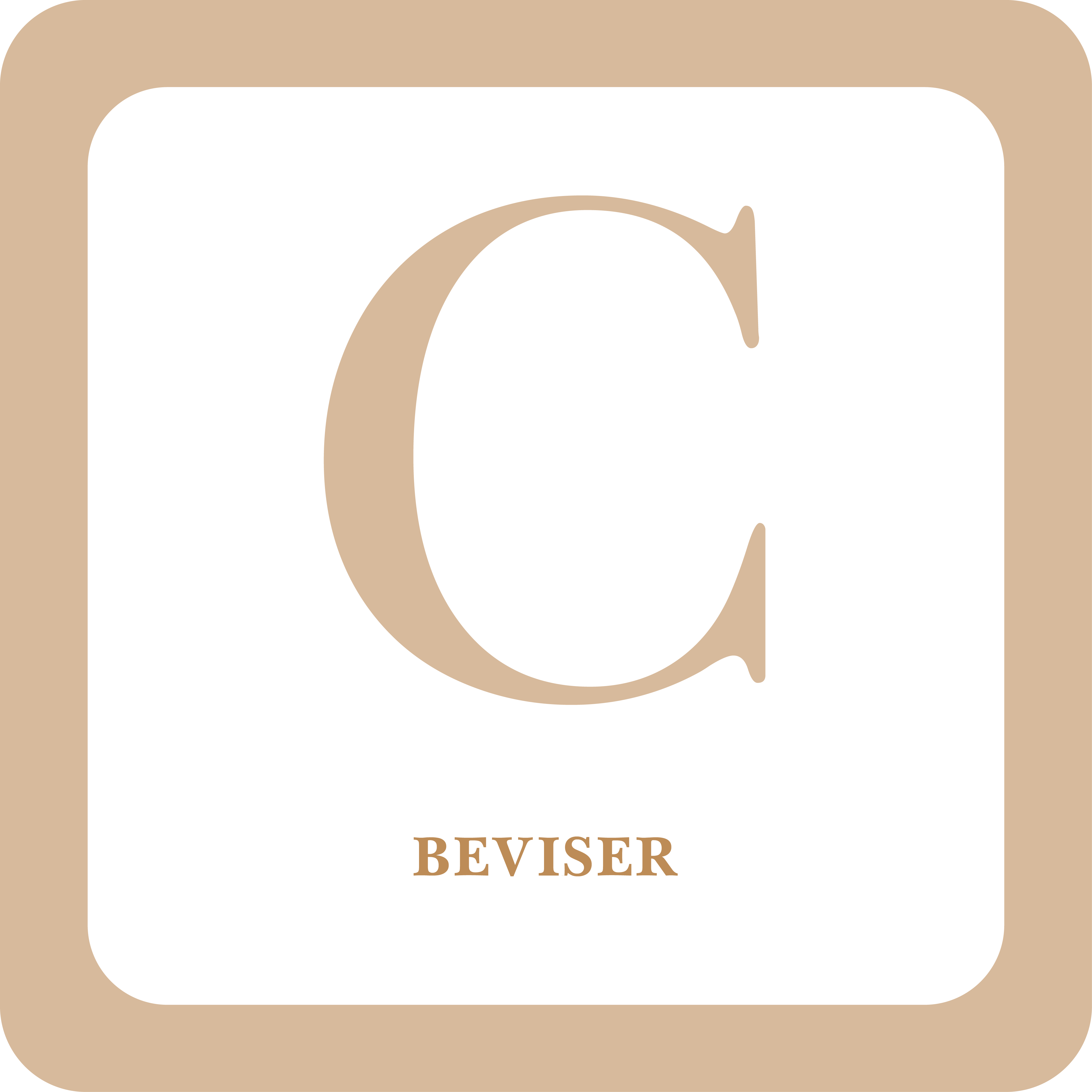 Read more about the article C Beviser