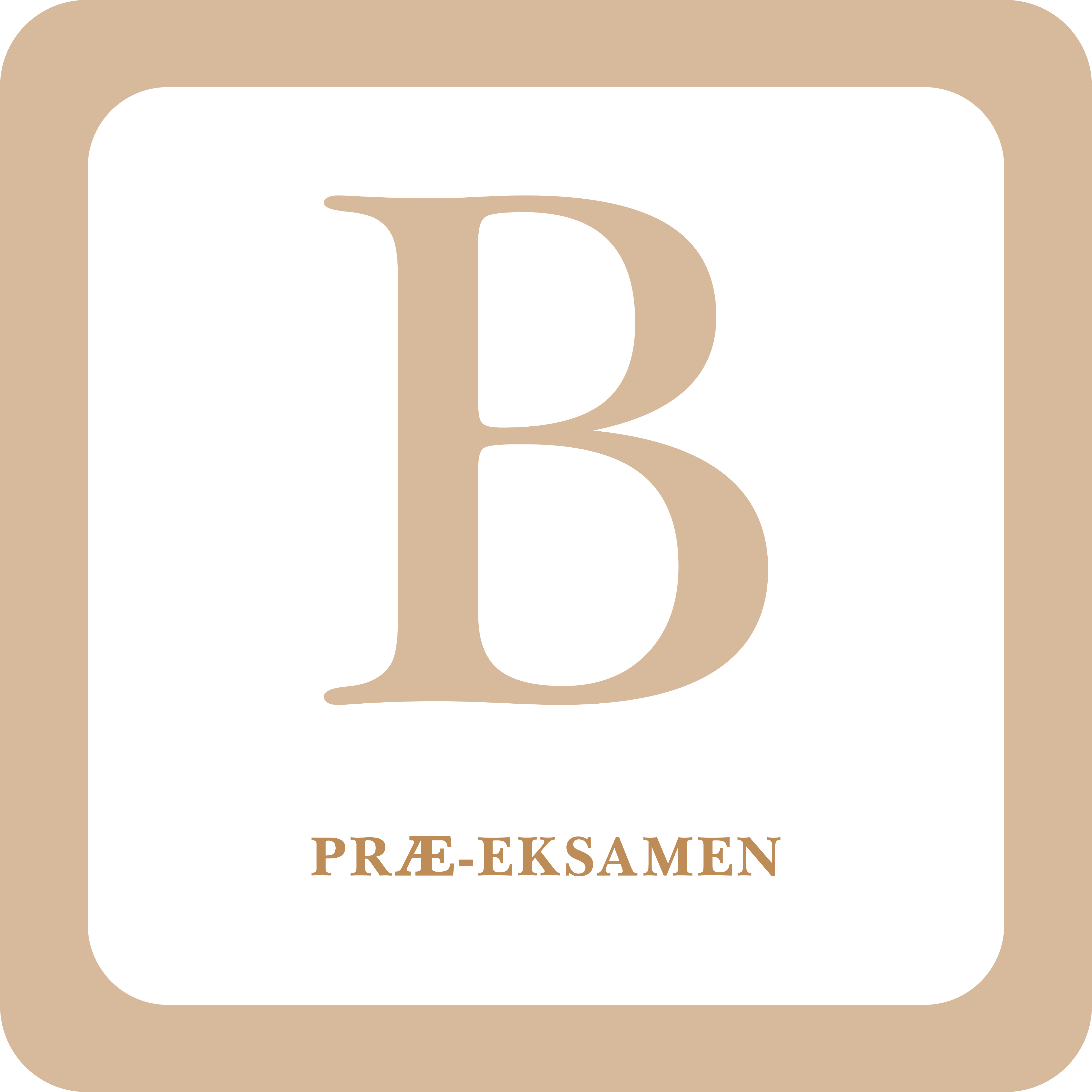 Read more about the article B Præ-eksamen